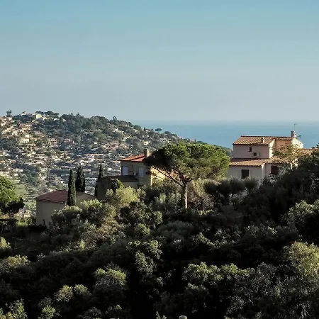 Snug In Les Mimosas With Pool Holiday home *