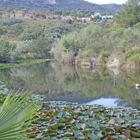 Holiday home Snug In Les Mimosas With Pool