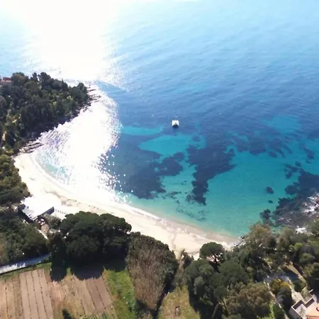 Snug In Les Mimosas With Pool Holiday home Bormes-les-Mimosas